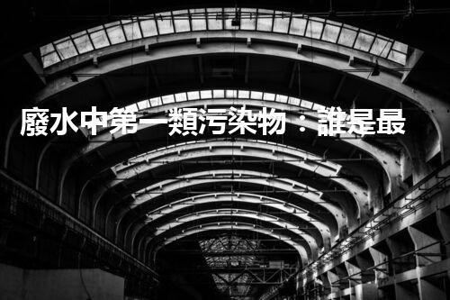 廢水中第一類污染物：誰是最致命的元兇？